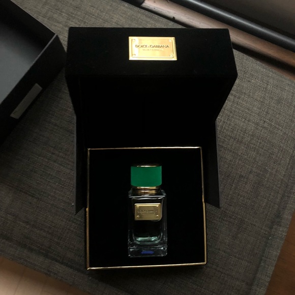 dolce gabbana velvet cypress